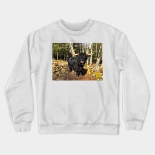 Scottish Highland Cattle Dark Black Bull 2351 Crewneck Sweatshirt